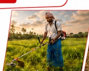 Grass Cutting